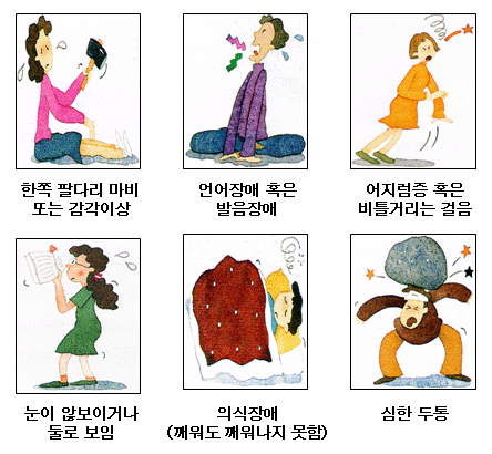 신경4 신경4