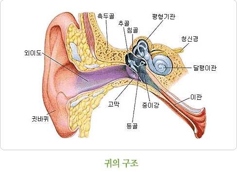 난청1