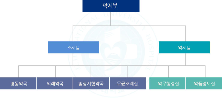 약제부 조직도