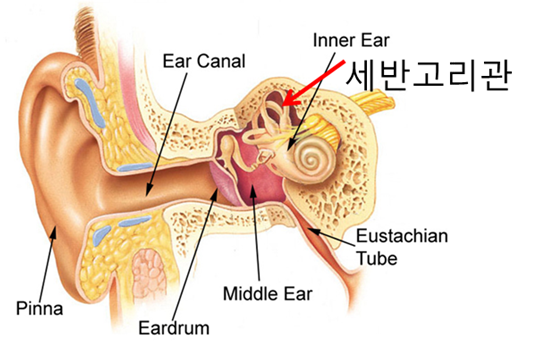 어지럼증2