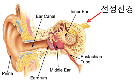 어지럼증4