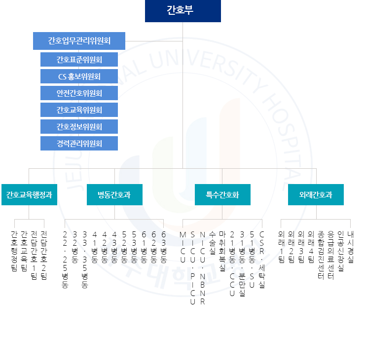 간호부 조직도